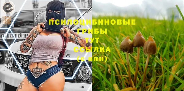 МДПВ Абаза