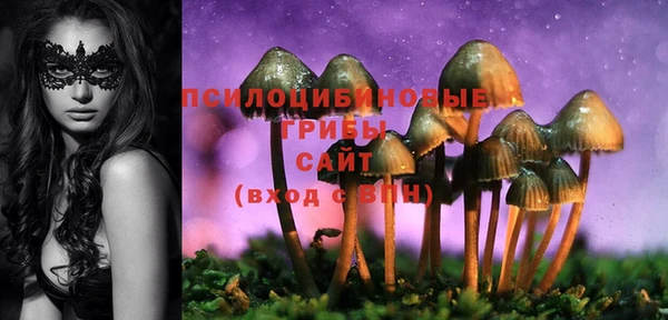 ECSTASY Алексин