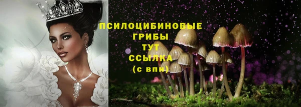 ECSTASY Алексин