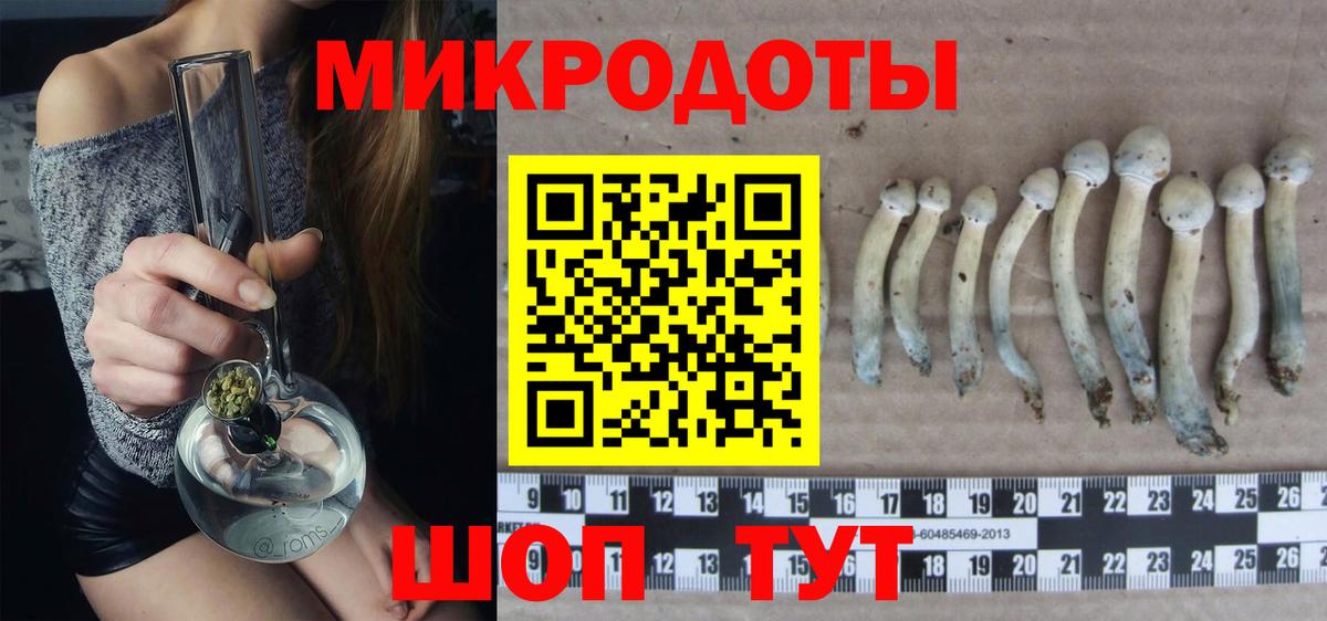 Псилоцибиновые грибы Cubensis  Вход с VPN  Лосино-Петровский 